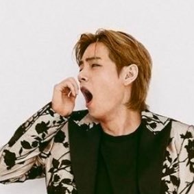 ソナ Ⓥ's profile picture
