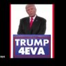 Trump4eva's profile picture