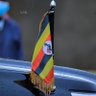 Profilbild von AHIMBISIBWE MUSINGUZI COLLEN 🇺🇬