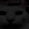 Profilbild von Retr0