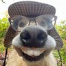 panté profil fotoğrafı