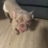 Nella profil fotoğrafı