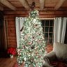 The Mean Christmas Tree 的头像
