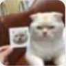 bluce Aion's profile picture