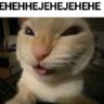 hatercat profil fotoğrafı