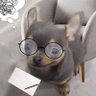 Profilbild von Wicho