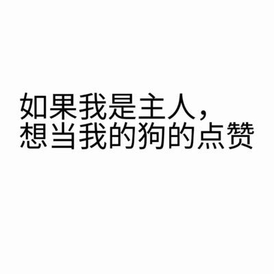 SH_Officer's profile picture