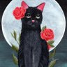 Profilbild von Roses