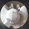 Robsta 🦇's profile picture