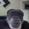 Jason B's profile picture