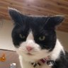 むぅ profil fotoğrafı