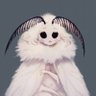 Profilbild von moth