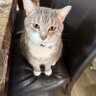 Kenzie profil fotoğrafı