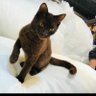 Tony profil fotoğrafı