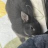 Profilbild von ReNa