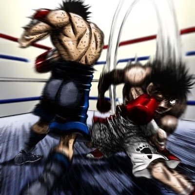 wildfightclips's profile picture