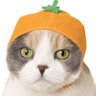 Фото профиля ศิริกันยุง🍊🦟