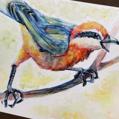 SYU3_R4KUR4's profile picture