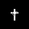 Bible Beyond's profile picture