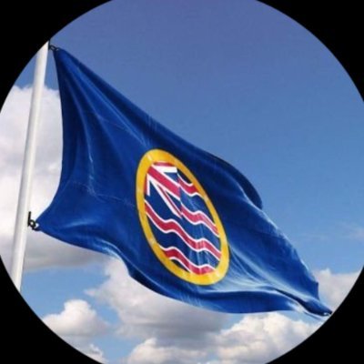 BritishOverseas's profile picture