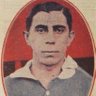 Gigante Imponente's profile picture
