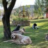 Alvaro RR. profil fotoğrafı