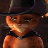 Profilbild von Le chat poutré 🍉🏳️‍🌈🇪🇸