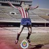 Фото профиля ⚽ Rojiblanco ⚽