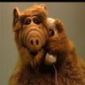ALF Gordon shumway's profile picture
