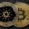Фото профиля Crypto Investors