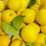Profilbild von 8888lemon8888