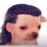 Dezas 的头像
