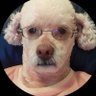 Pumpger's profile picture