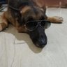 Ishan's profile picture
