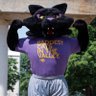 The Baddest Cat in the Valley's profile picture