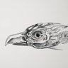 Syl S Birb profil fotoğrafı