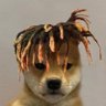 Tyler Fischer's profile picture