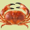 Profilbild von ReyReum