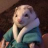 hurondechiclana's profile picture