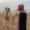 ناصر بن عبدالعزيز العتيبي's profile picture