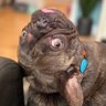 Profilbild von Murph 🦈