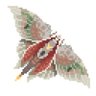Profilbild von 虫酢