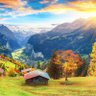 Switzerland_mona's profile picture