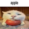 whatthesilly 的头像