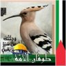 Profilbild von كله فى الميزان