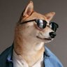 solanabeast's profile picture