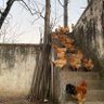 derics de 的头像