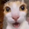 BoeJamnaPT2's profile picture