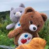 ちゃいろとねずみいろ profil fotoğrafı