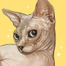 Profilbild von dob